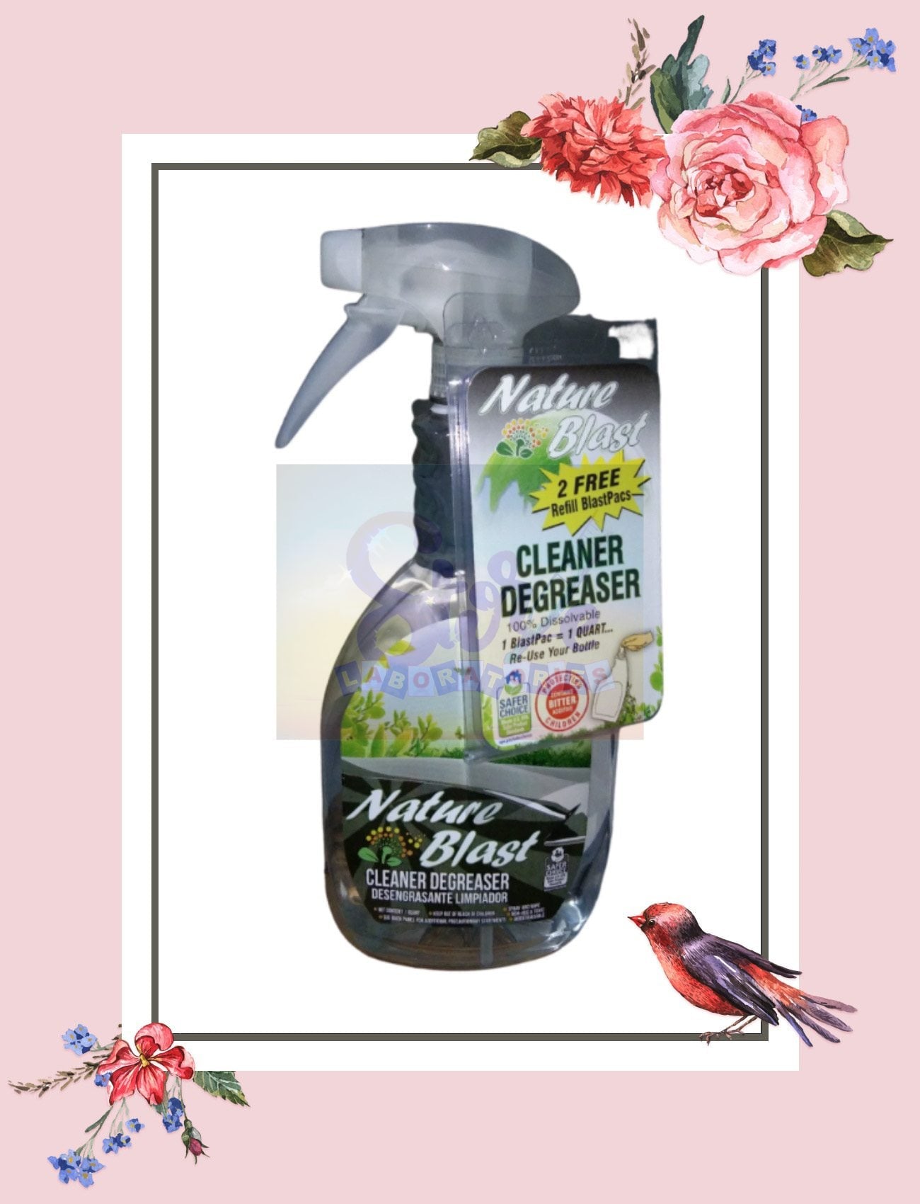 Nature Blast Cleaner Degreaser with 2 Refill Blastpacks